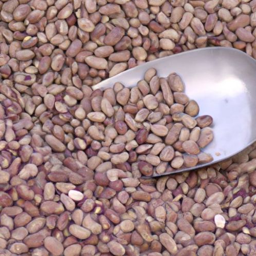 HARGA GROSIR Kacang Ginjal Sehat Bersoda arabika aromatik organik seimbang DISKON