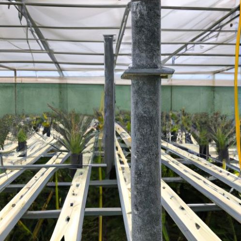 Menara Taman Hidroponik Nanas Putar Sistem Film Pe Rentang Aeroponik Menara Taman Hidroponik Rumah Kaca Pertanian Baru