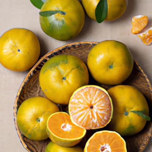 ベトナム産 高品質新品柑橘類 ネーティブオレンジ クロップグレープフルーツ