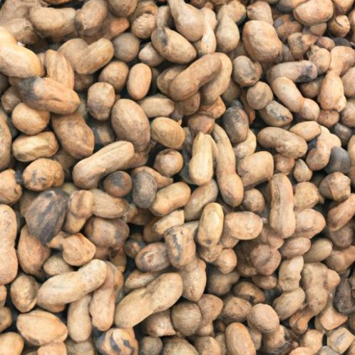 Вьетнамский производитель, здоровые фрукты, HACCP, купить арахис, натуральный, без добавок, богатый, питательный, ISO, питательный, без цвета, оригинальные семена дыни