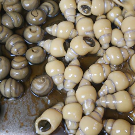 Aperitivos Venta caliente liuzhou snacks congelados dim sum caracoles de río fideos de arroz al por mayor chino tradicional