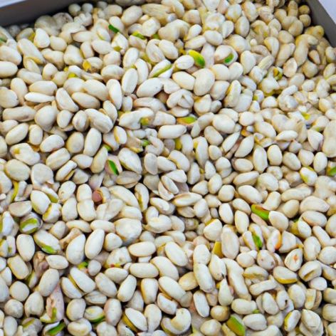 / Sweet Pistachio for sale . dried ginkgo nuts Pistachio Nuts / Roasted Pistachio Nuts