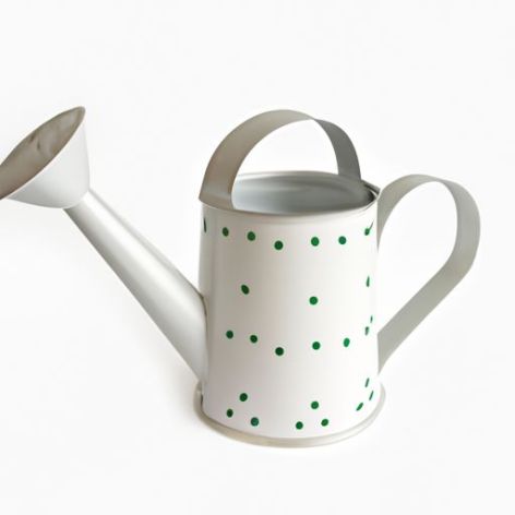 Trending Design Watering Pot places or watering jug Sprinkling Can Galvanized Simple Design Watering Can Fashionable