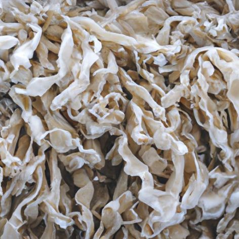 Nấm tốt cho sức khỏe để nấu nấm sò chất lượng Bán buôn Dictyophora Indusiata/Tre khô chất lượng cao