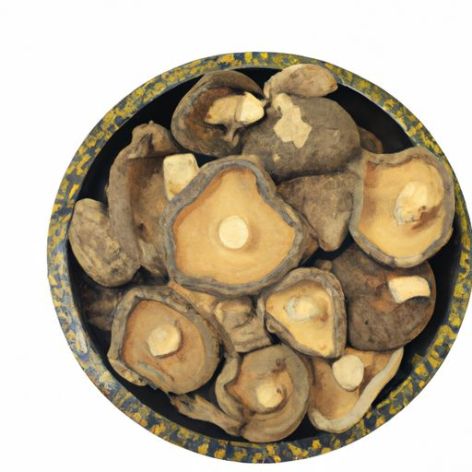 paddestoel Gedroogde Paddestoel Groothandel shiitake champignonchips goedkoop gedroogd
